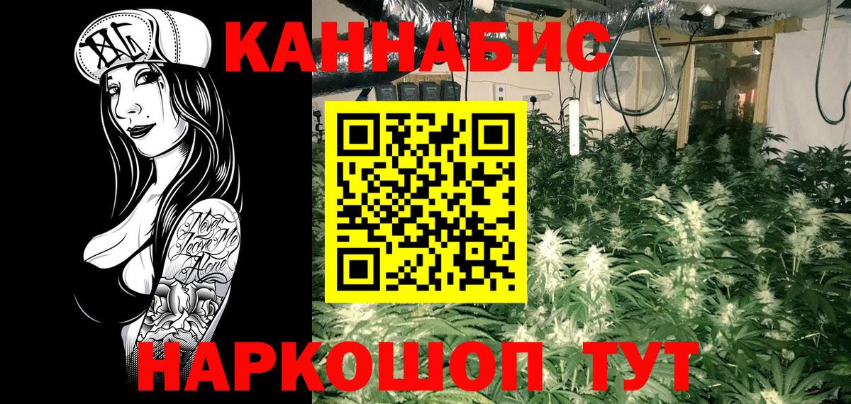Бошки марихуана Bruce Banner Брянск