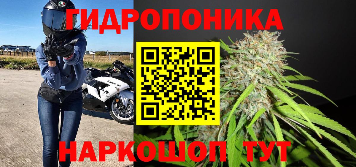 Брянск  Бошки Шишки Amnesia  МАРИХУАНА Ganja  Вход с VPN 